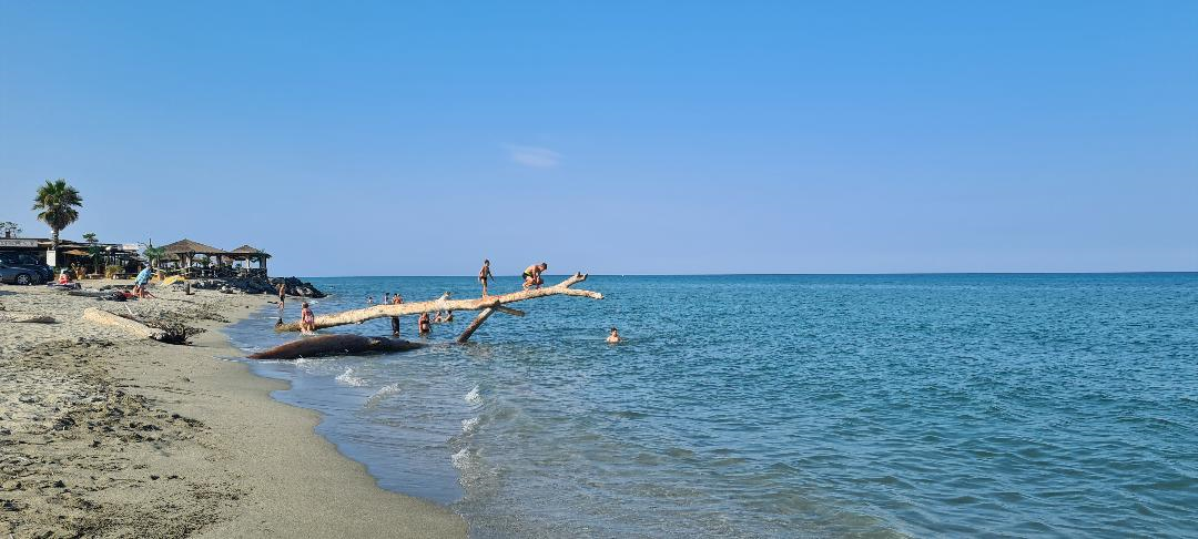 plage de Vignale