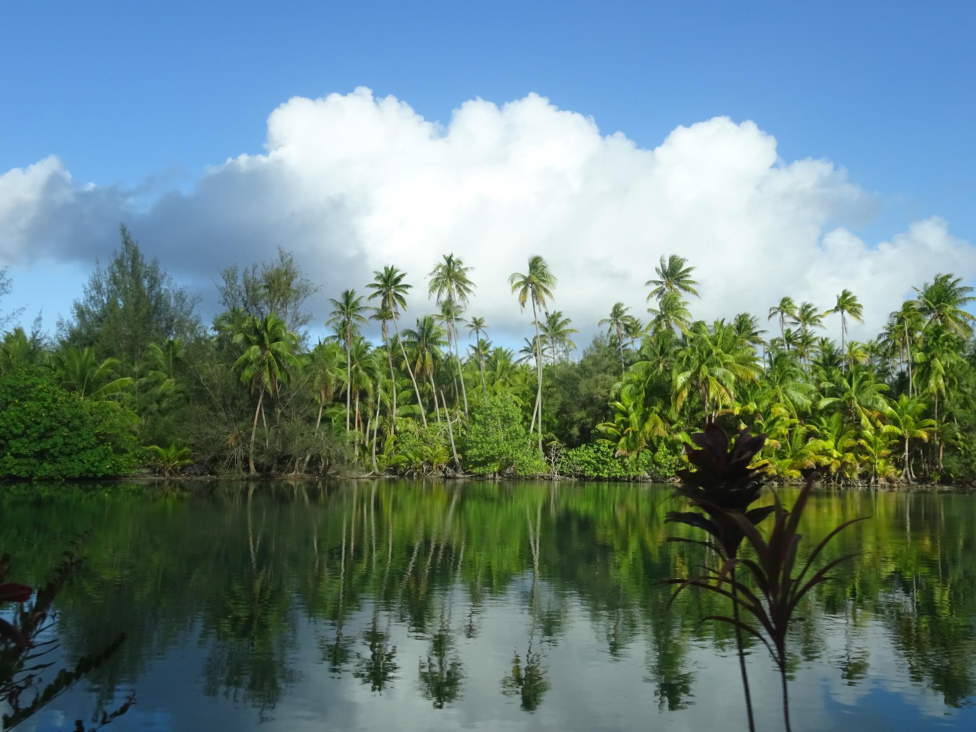 tour du lagon en bateau à Huahine