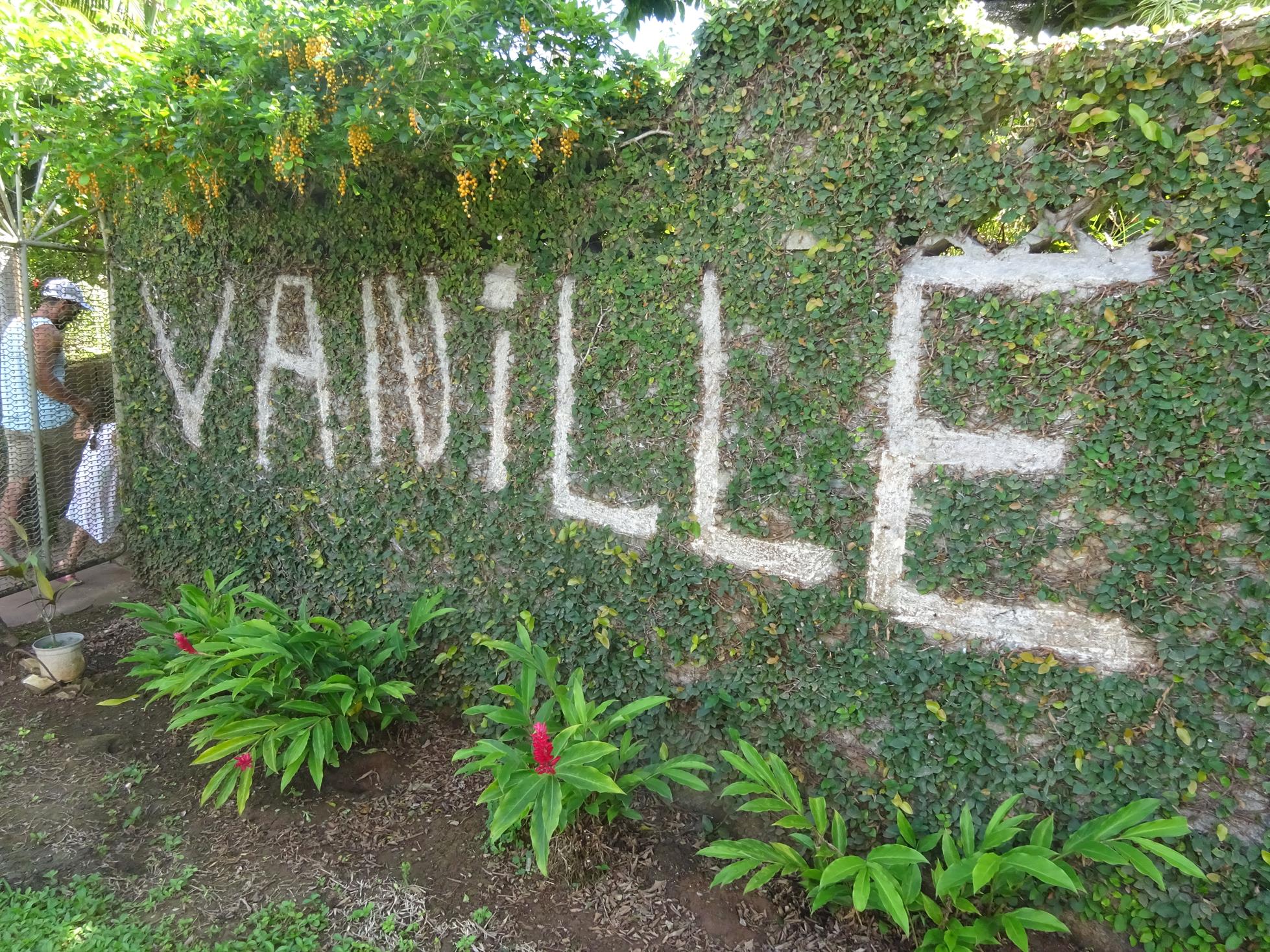 visite d'une production de vanille de Huahine