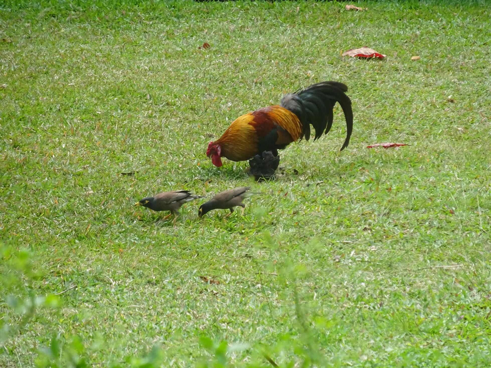 dans notre jardin 