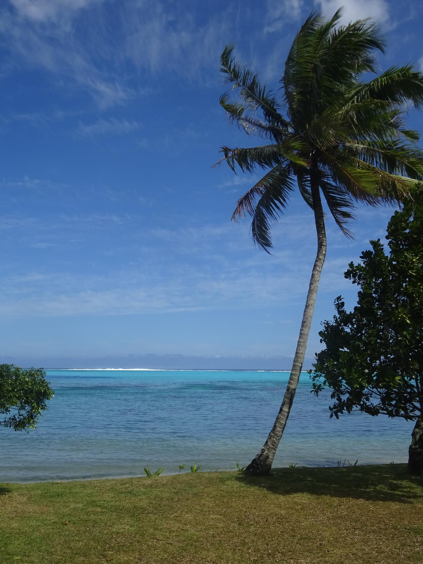 vue de notre faré à Moorea