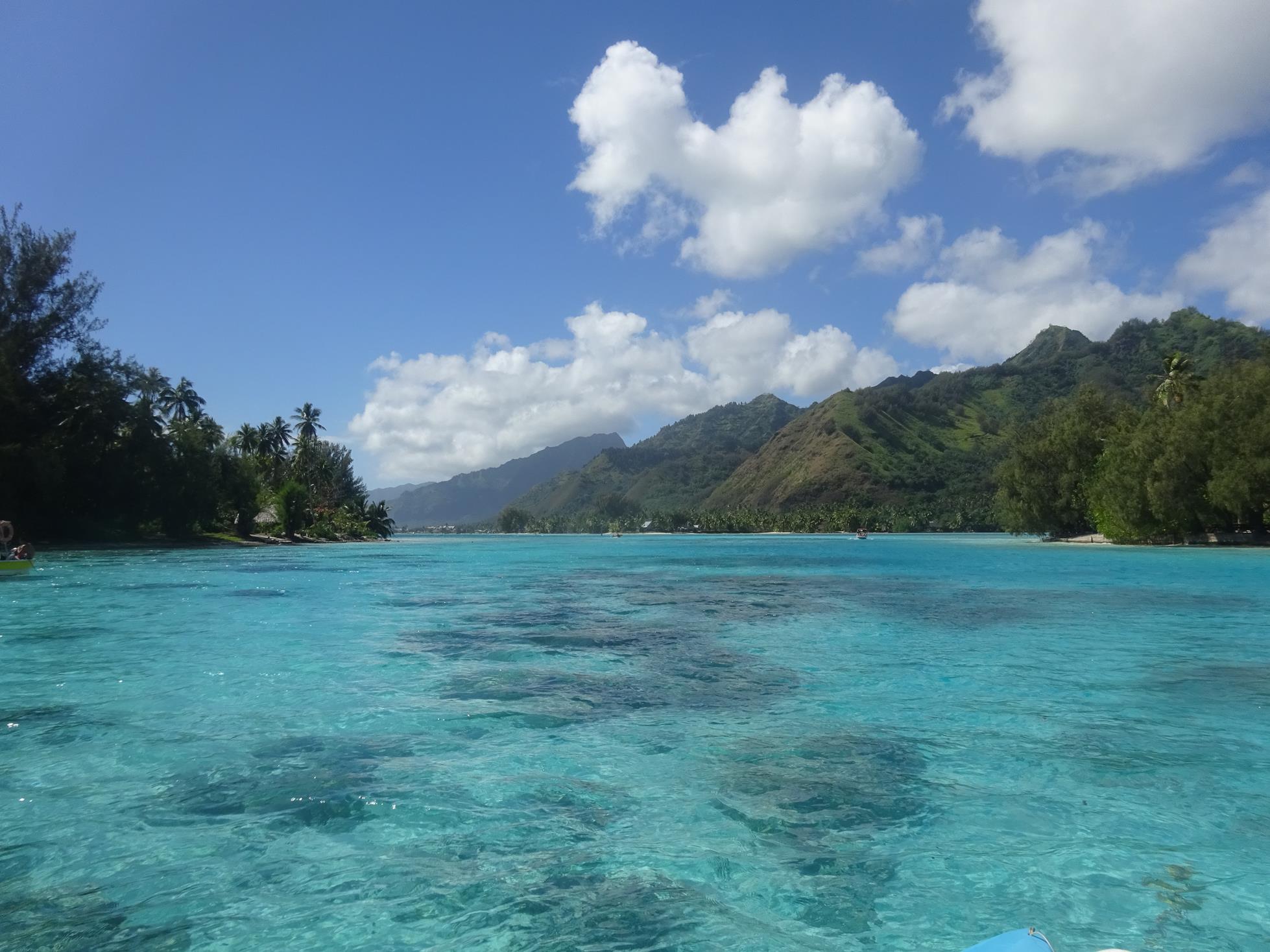 demi-journée bateau à Moorea