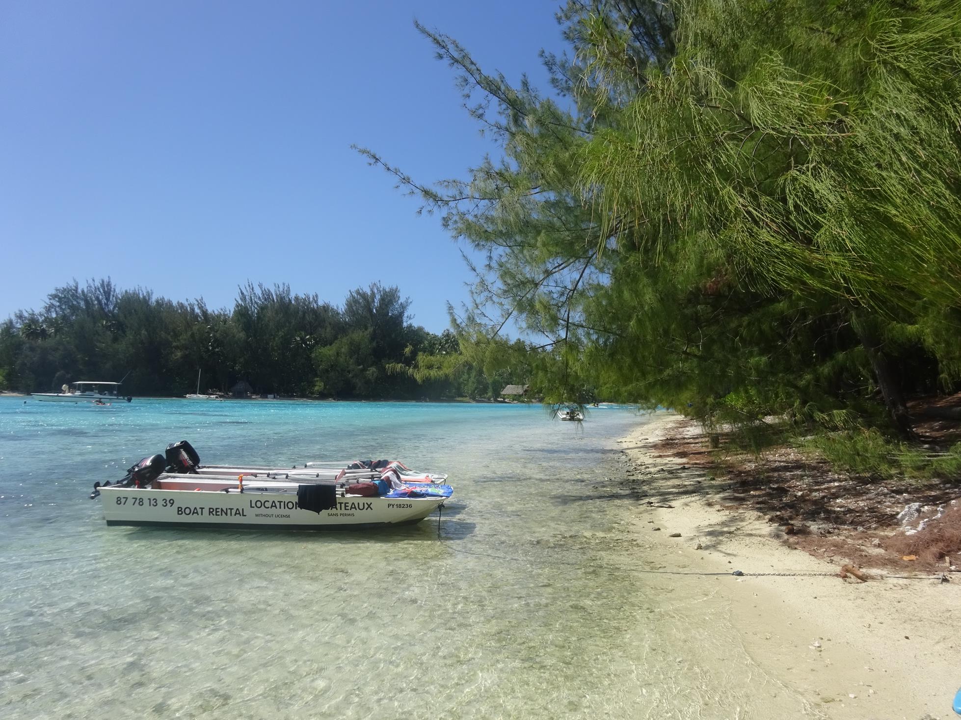 demi-journée bateau à Moorea