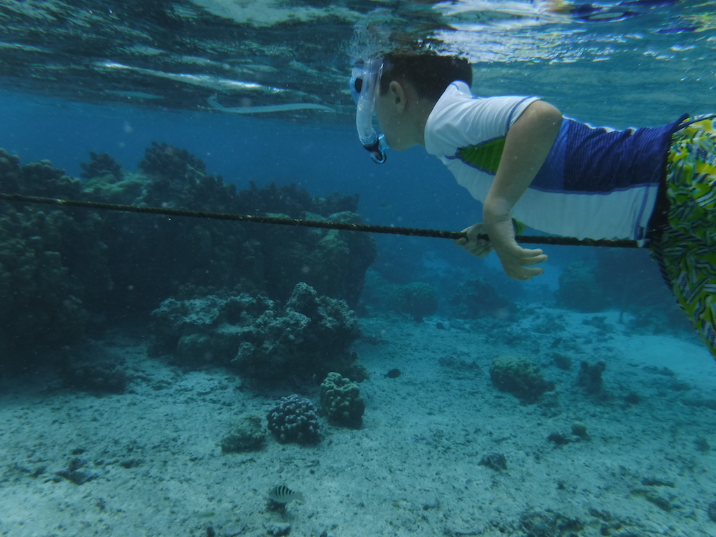 Arthur dans le Lagoonarium