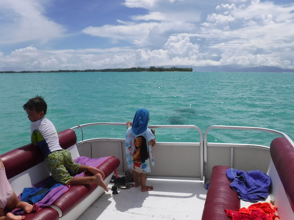 Lou-Anne qui surveille les patates de corail