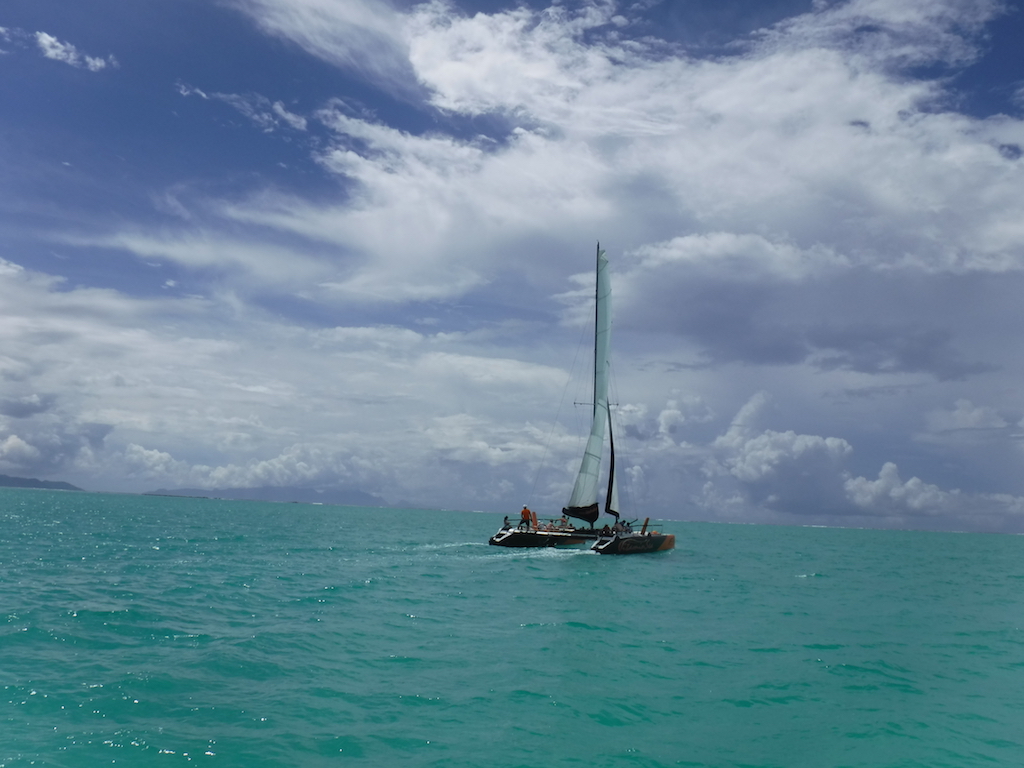 un catamaran dans le lagon