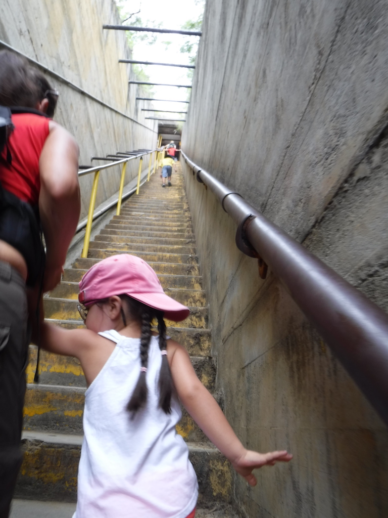 les escaliers de la fin qui cassent bien les jambes...