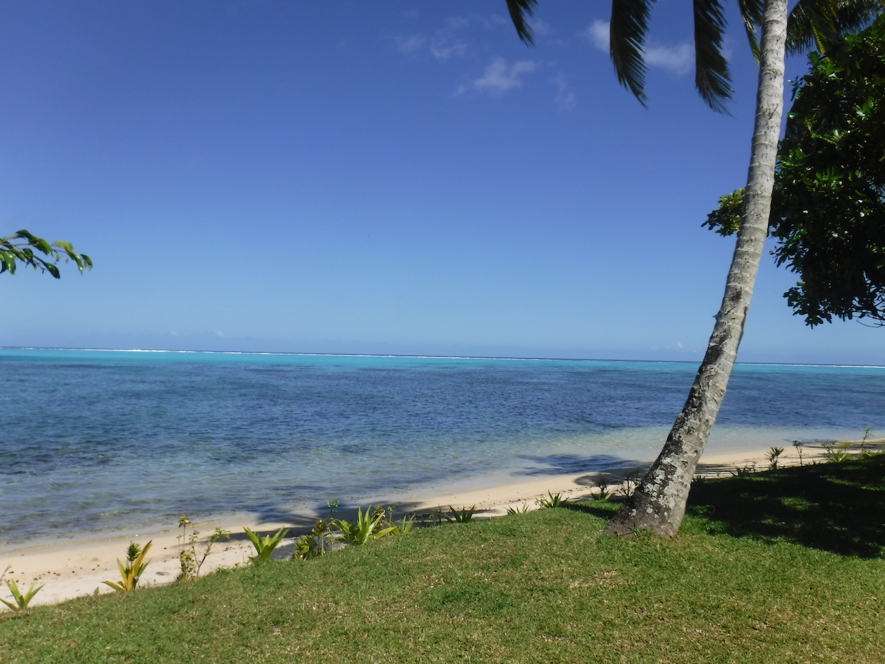 vue de notre jardin, direct sur le lagon