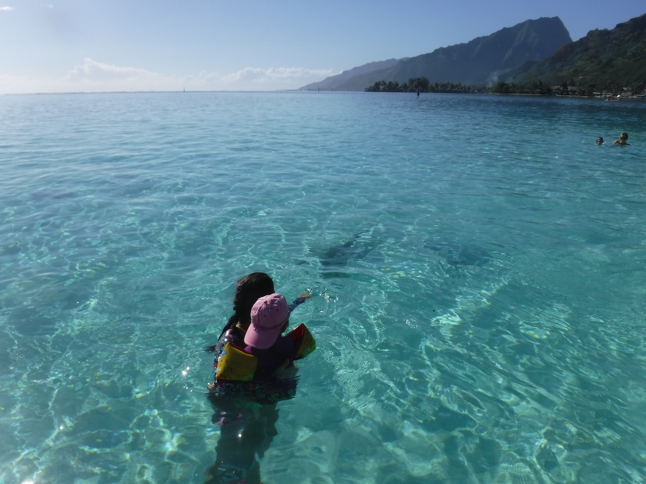 spot à requins et raies - Moorea