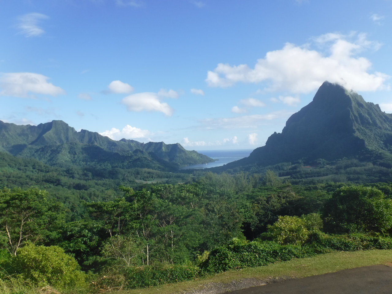 vue sur la baie de Opunohu depuis le Belvédère