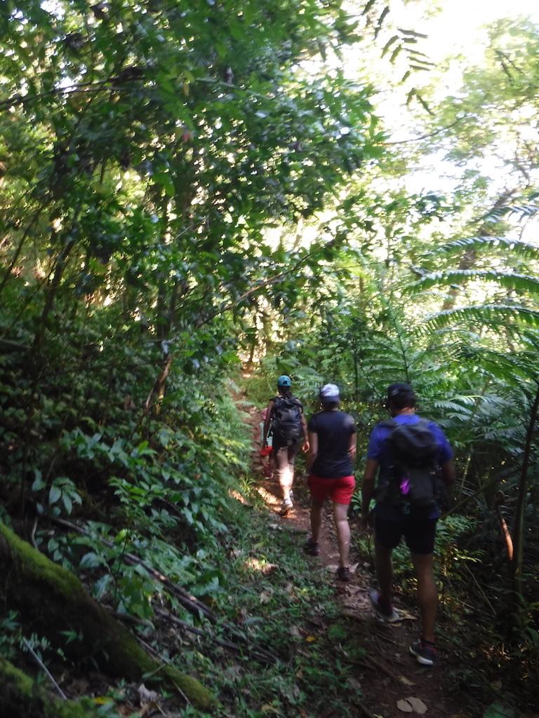 balade de 3h en forêt de Moorea