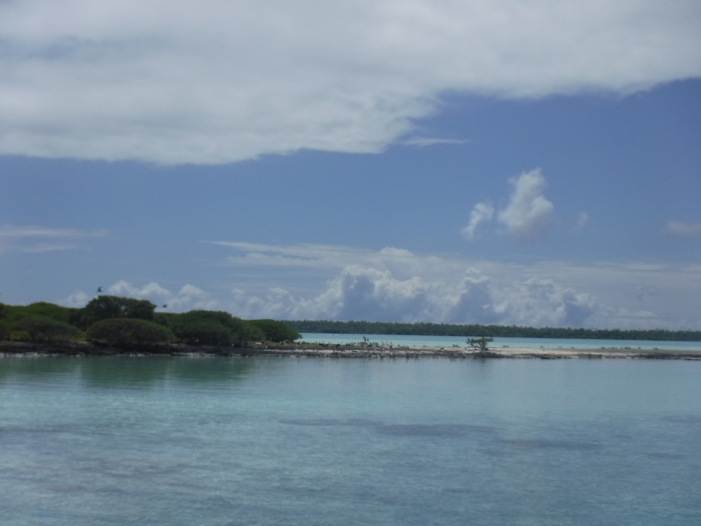 l'île aux oiseaux, sur le motu Teaku