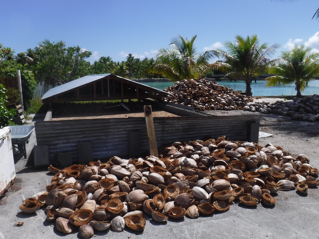 activité et revenus n°1 sur beaucoup d'atolls