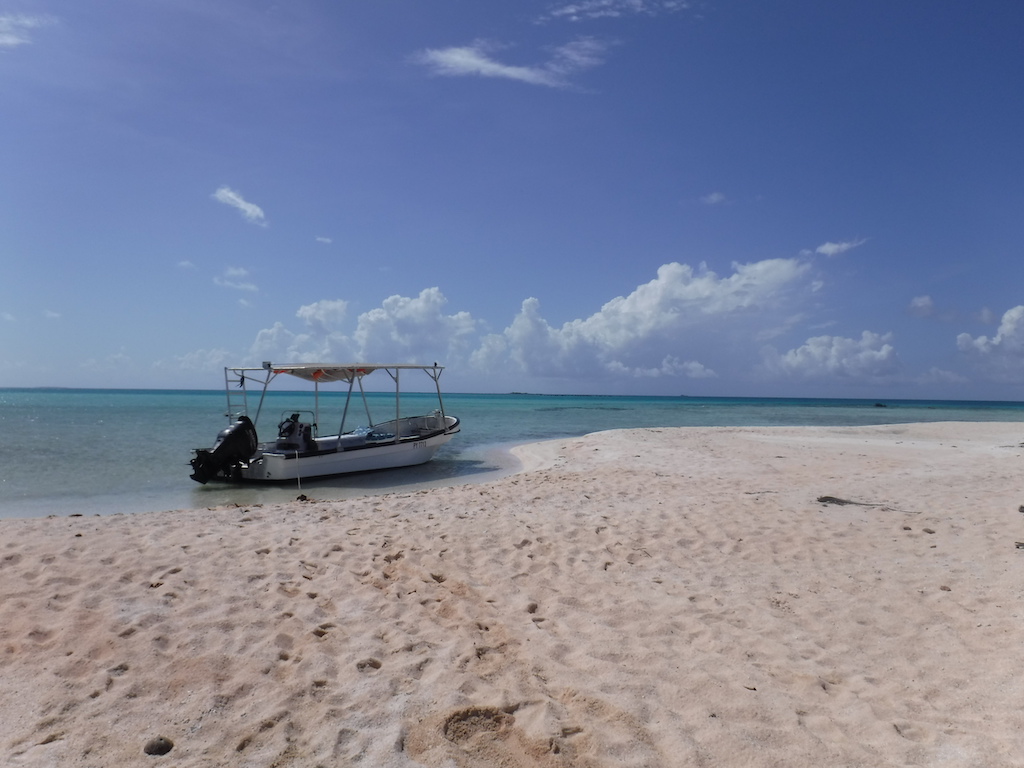 excursion en bateau sur un motu voisin