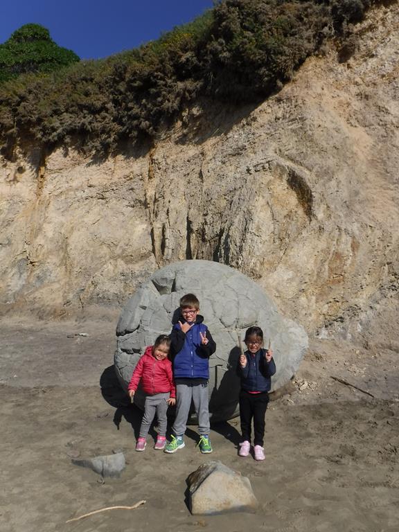 Moreaki Boulders