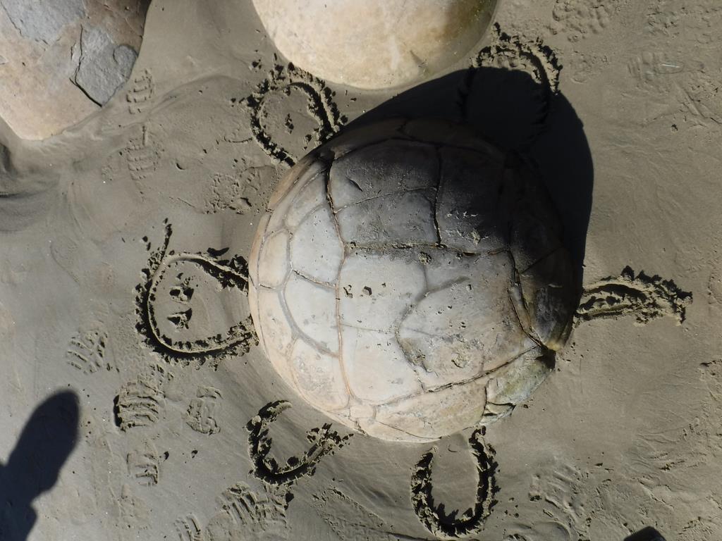 Moreaki Boulders