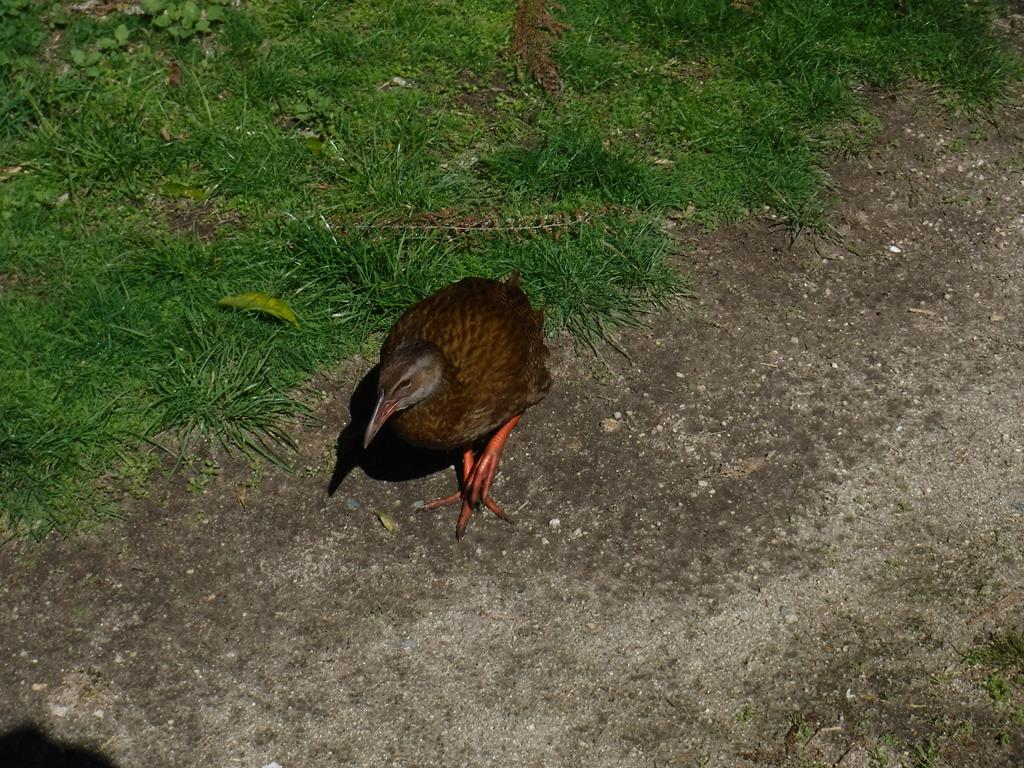 Abel Tasman National Park