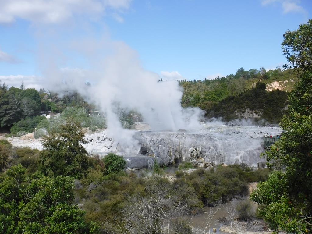 Te Puia, Rotorua