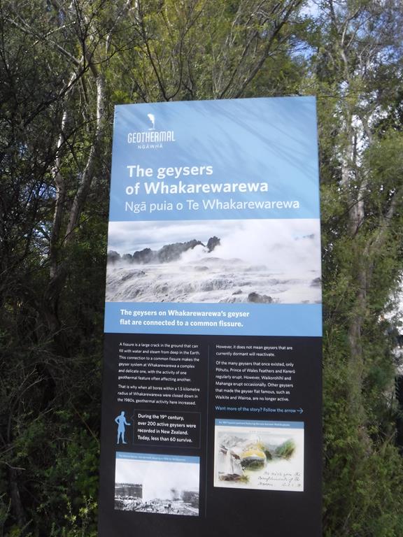 Te Puia, Rotorua