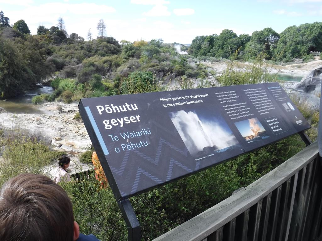 Te Puia, Rotorua