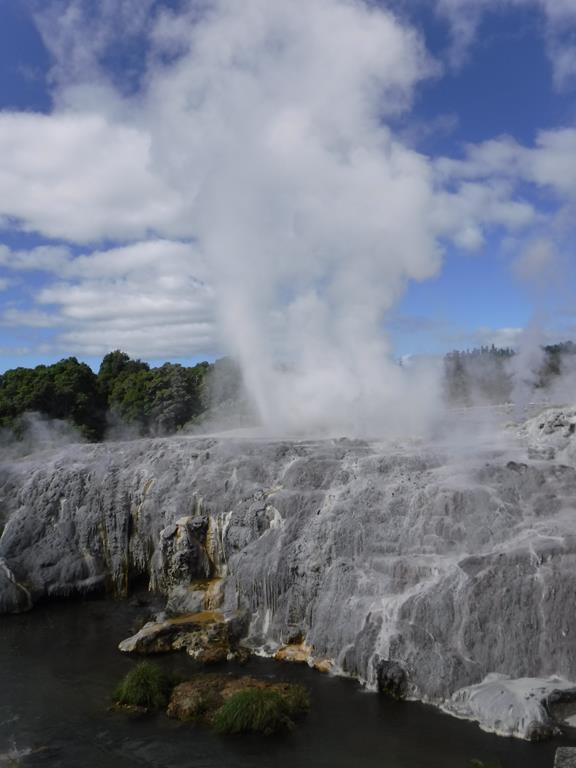 Te Puia, Rotorua
