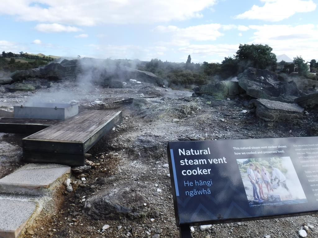 Te Puia, Rotorua