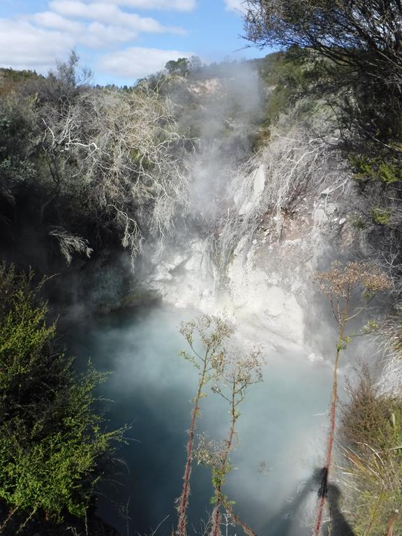 Te Puia, Rotorua