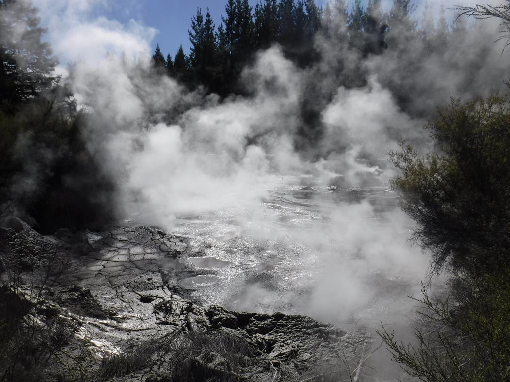 Wai-o-Tapu thermal wonderland