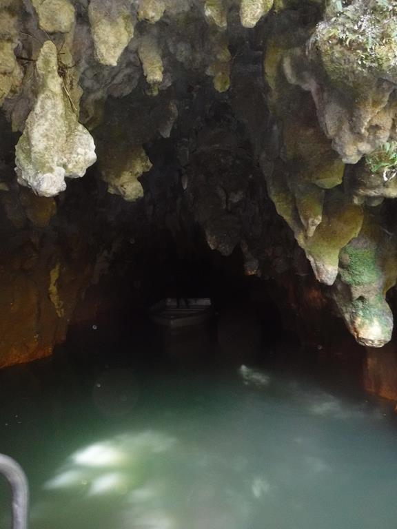 Grottes Waitomo Glowworm