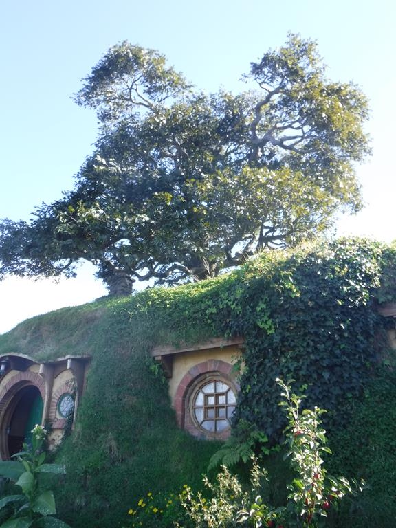Hobbiton Movie Set