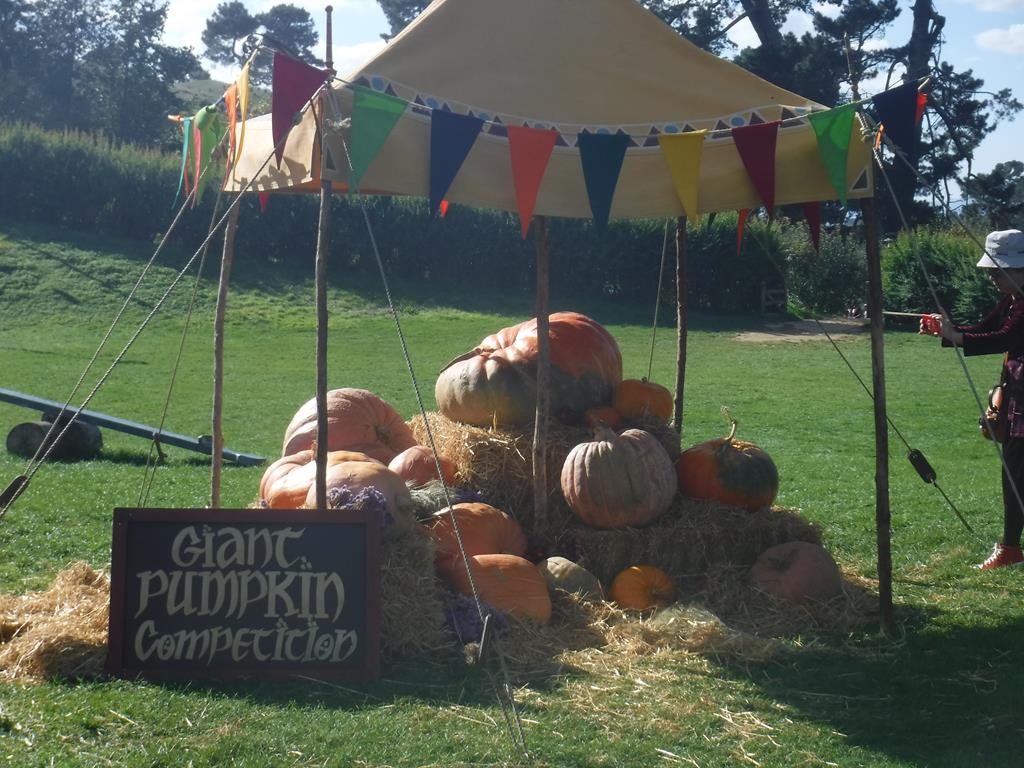 Hobbiton Movie Set