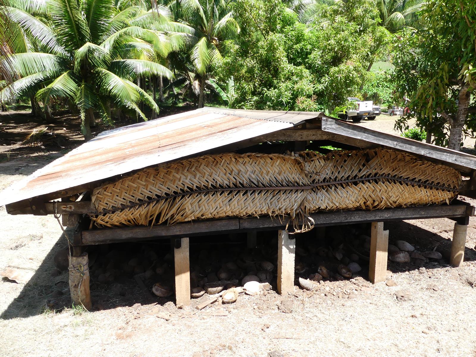 séchage du coprah (noix de coco) pour fabriquer du monoÏ