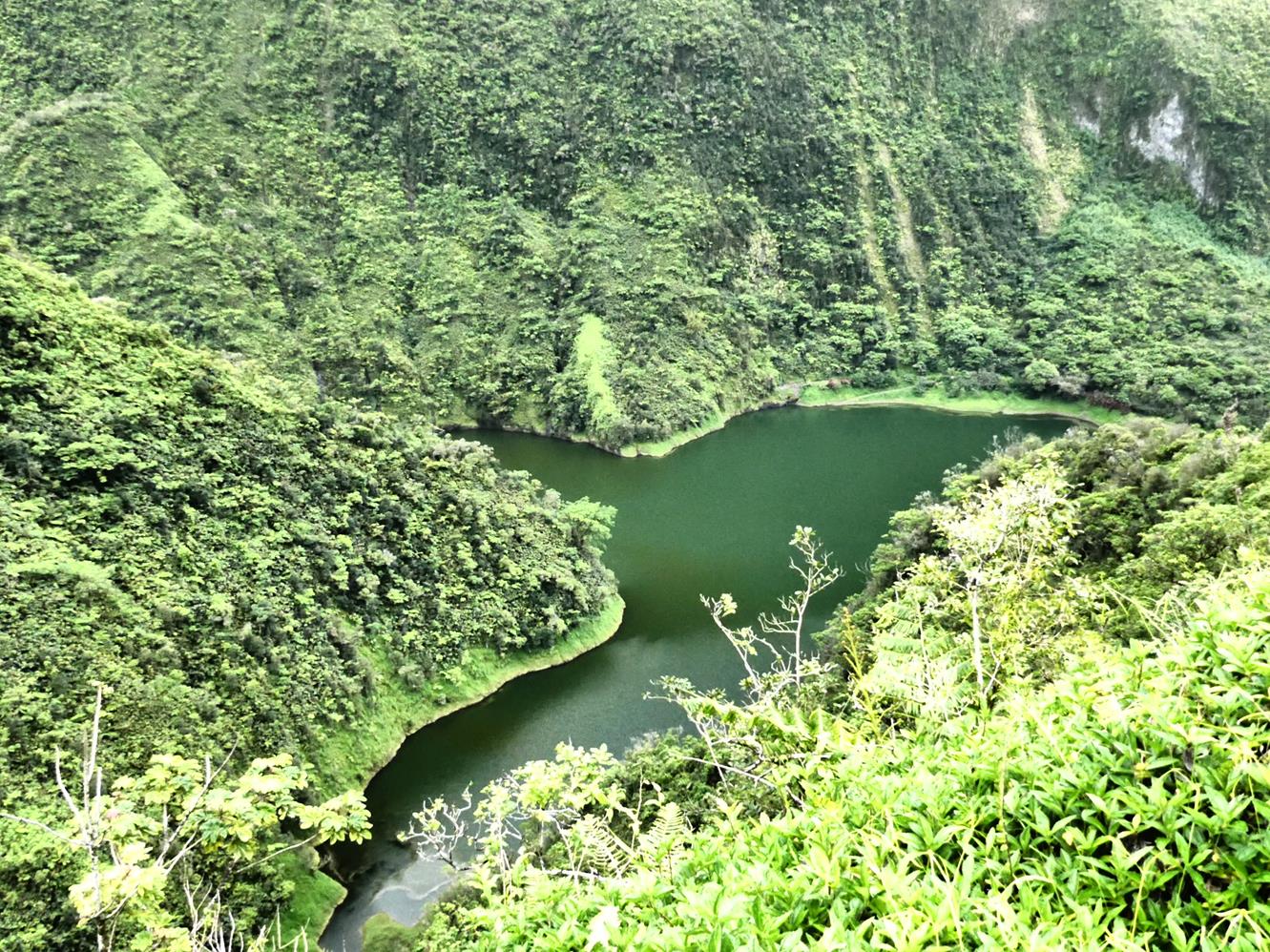 Lac Vaihiria en forme de...dauphin!