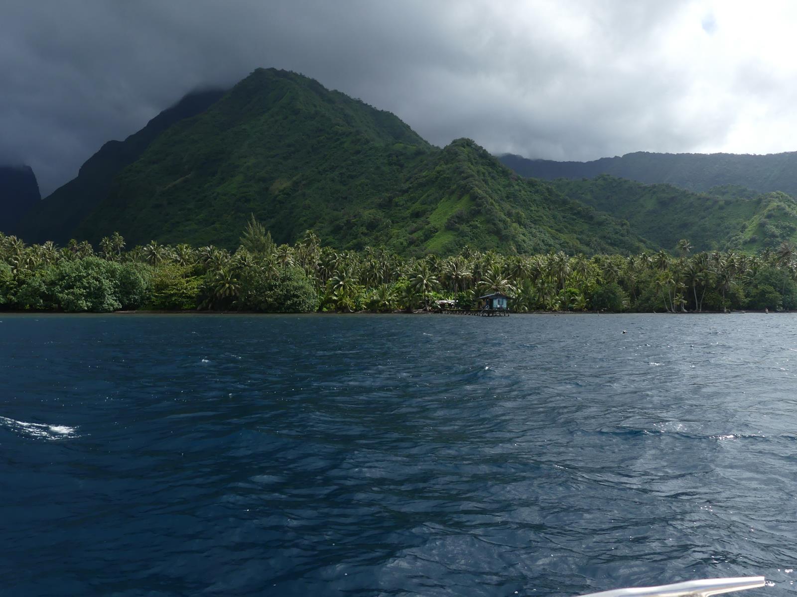 balade en bateau jusqu'à la forêt de Vaipori