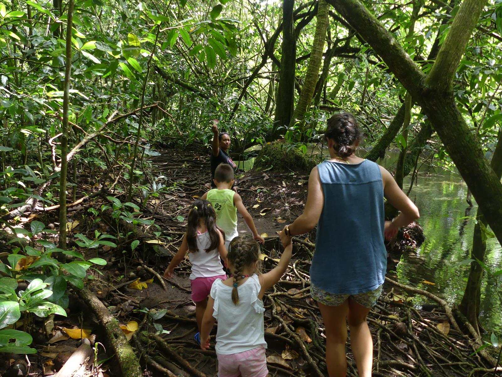 forêt de  Vaipori sur Tahiti Iti