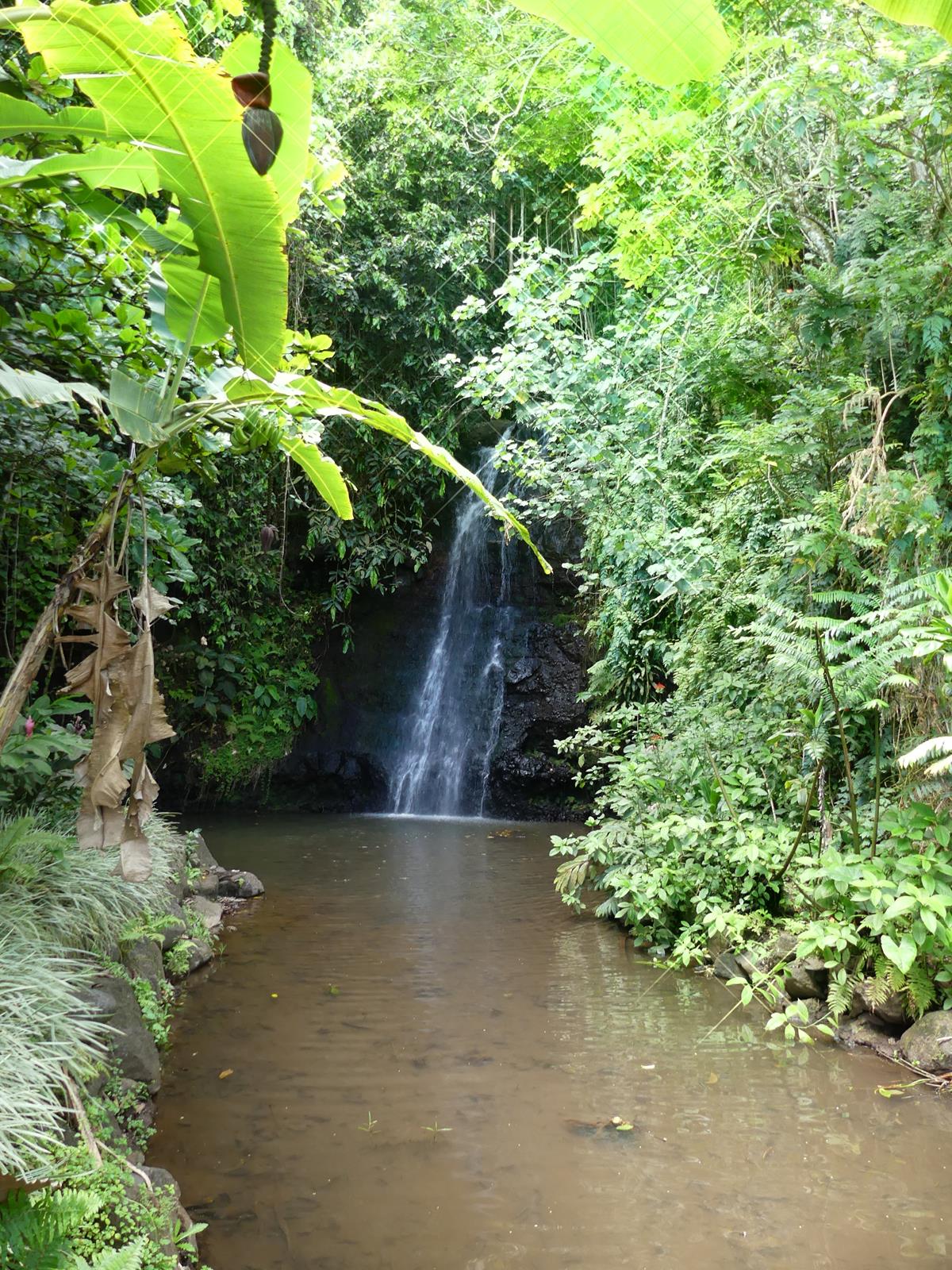 les grottes de Maraa