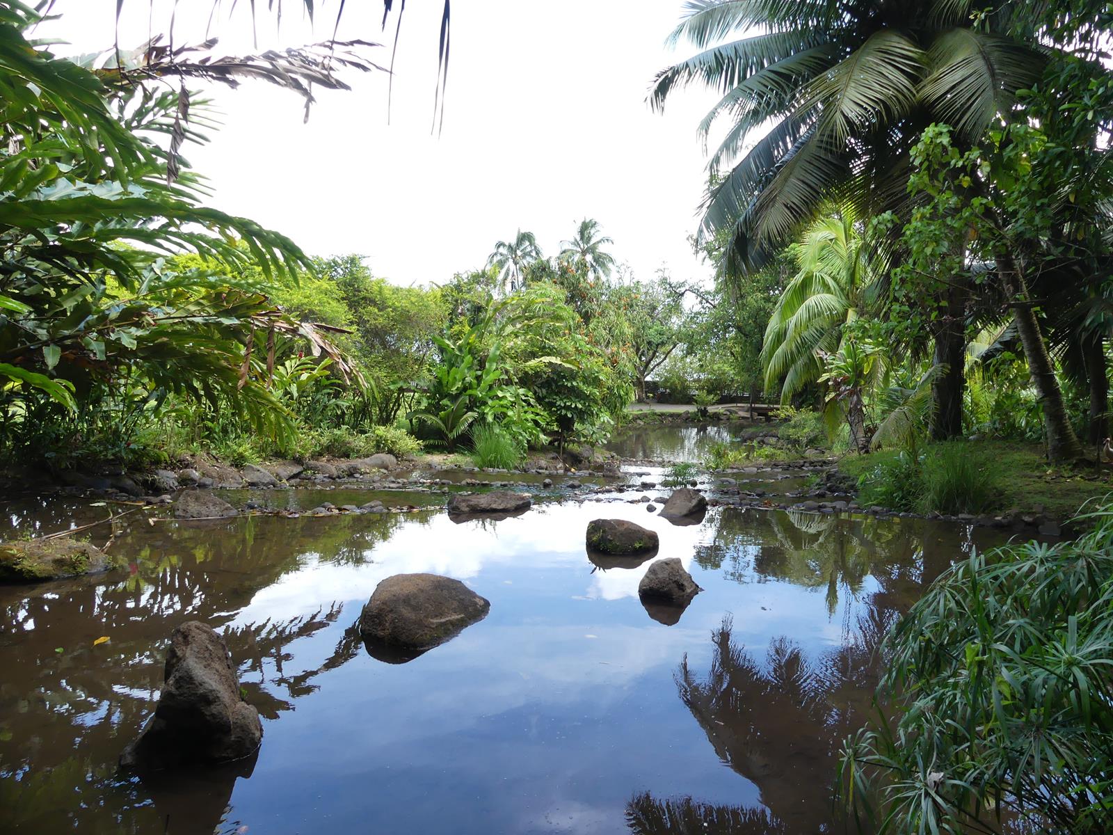 au jardin d'eau de Vaipahi