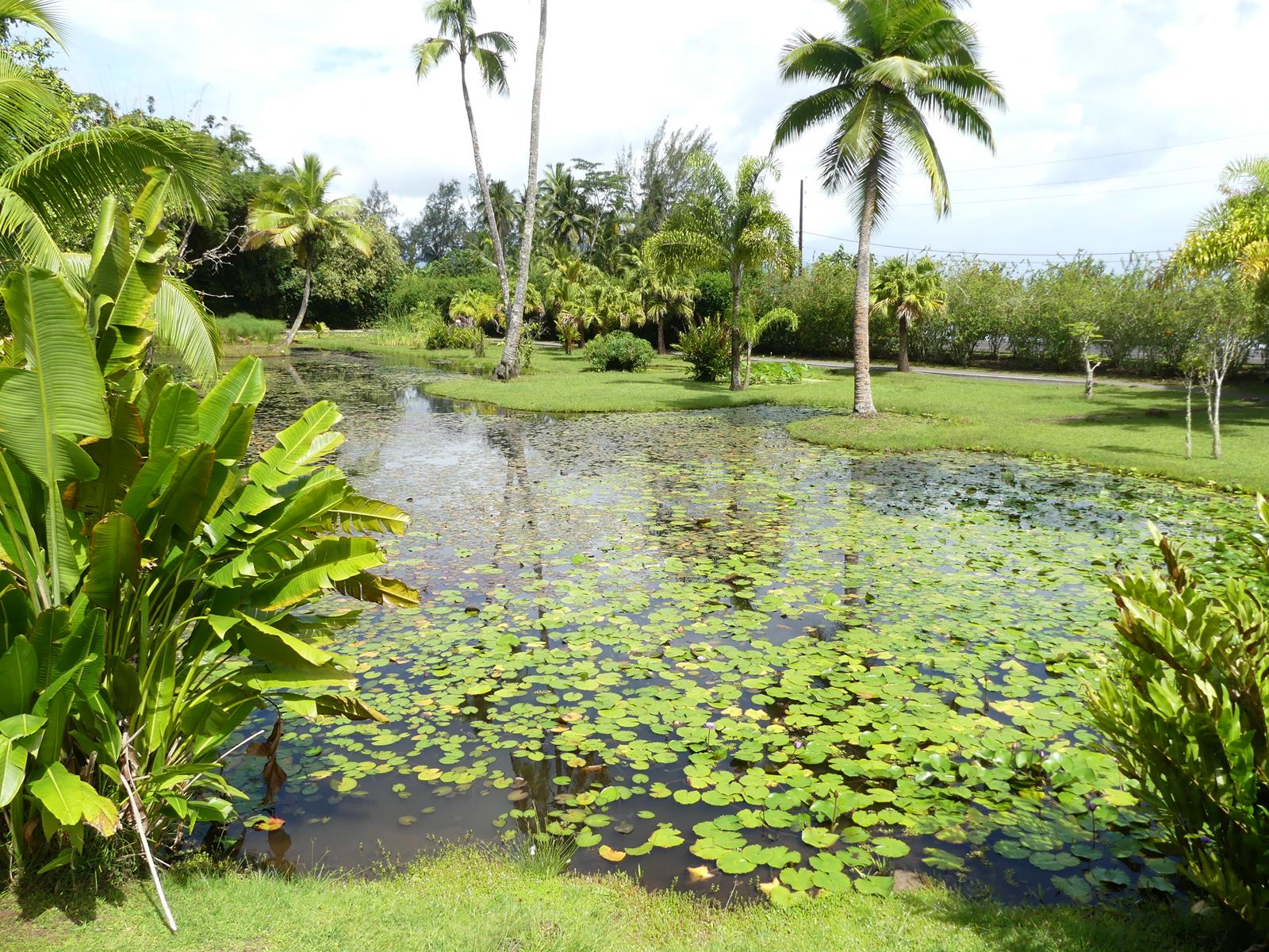 au jardin d'eau de Vaipahi