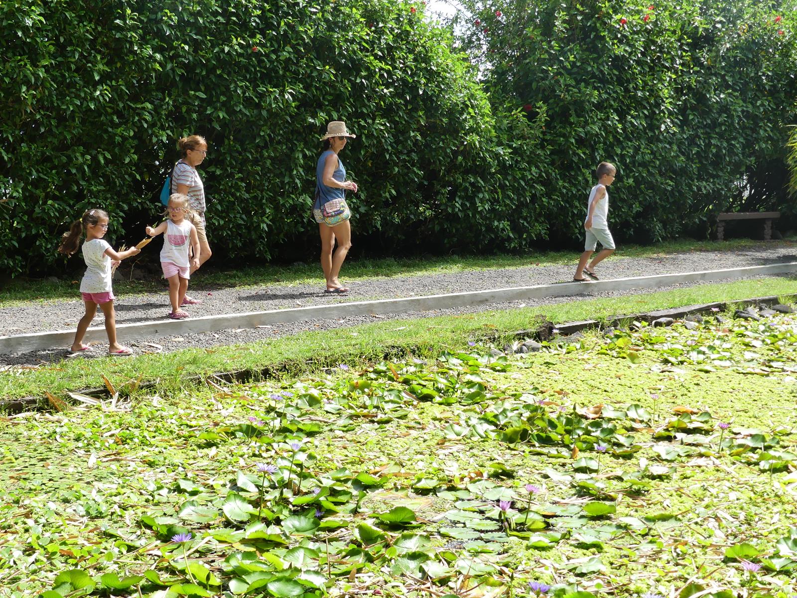 au jardin d'eau de Vaipahi