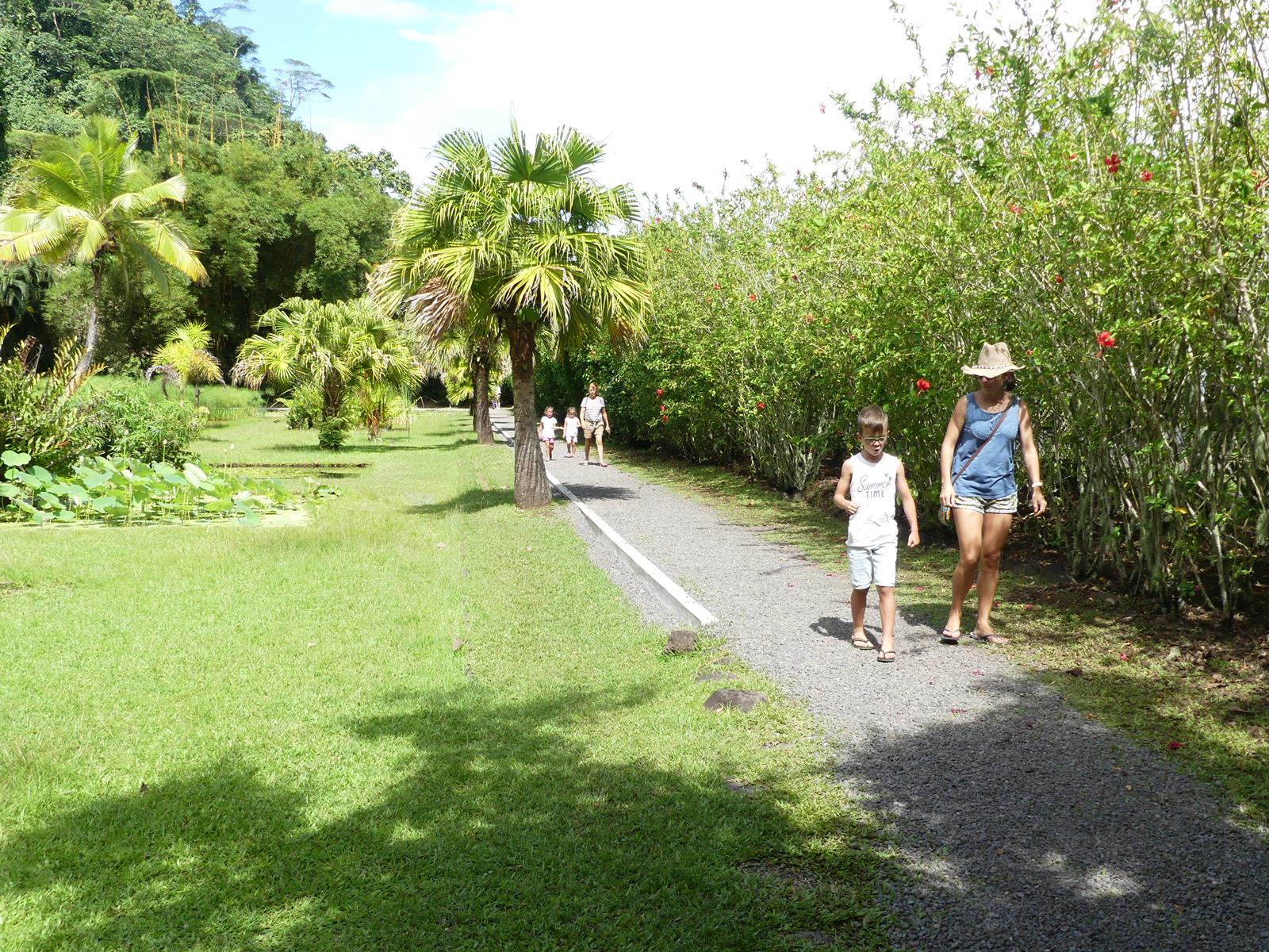 au jardin d'eau de Vaipahi