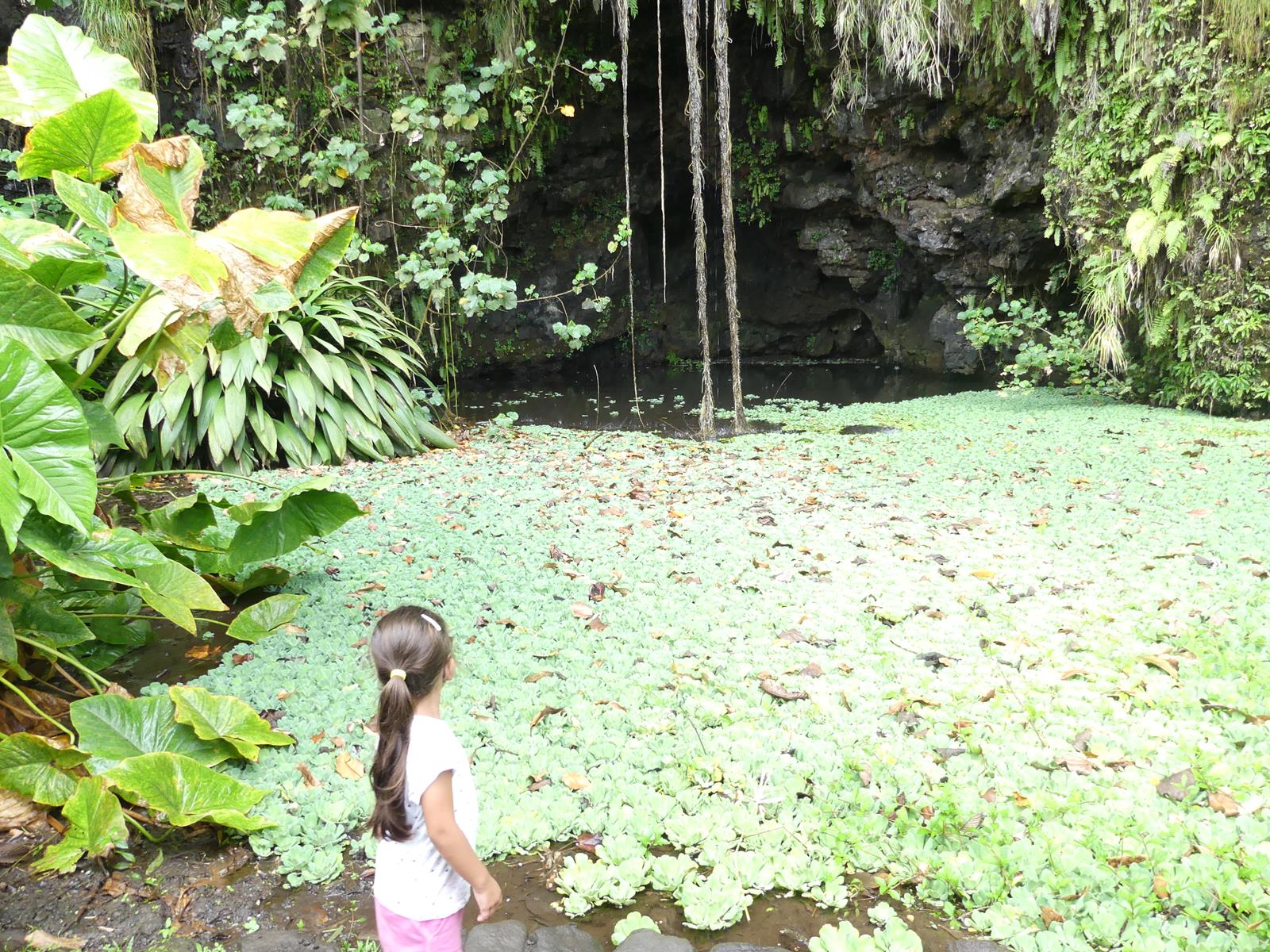 au jardin d'eau de Vaipahi