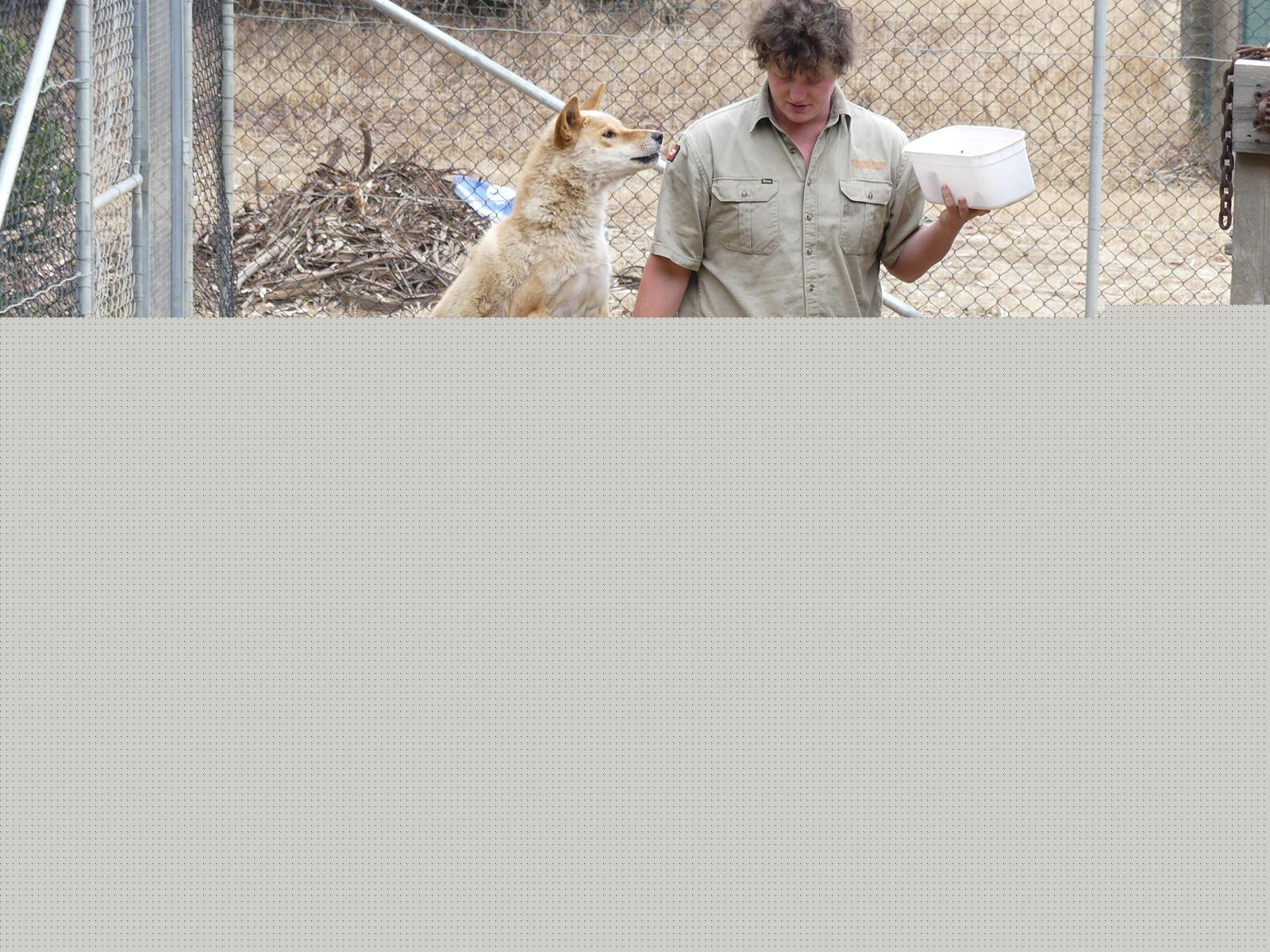 Kangaroo Island Wildlife Park