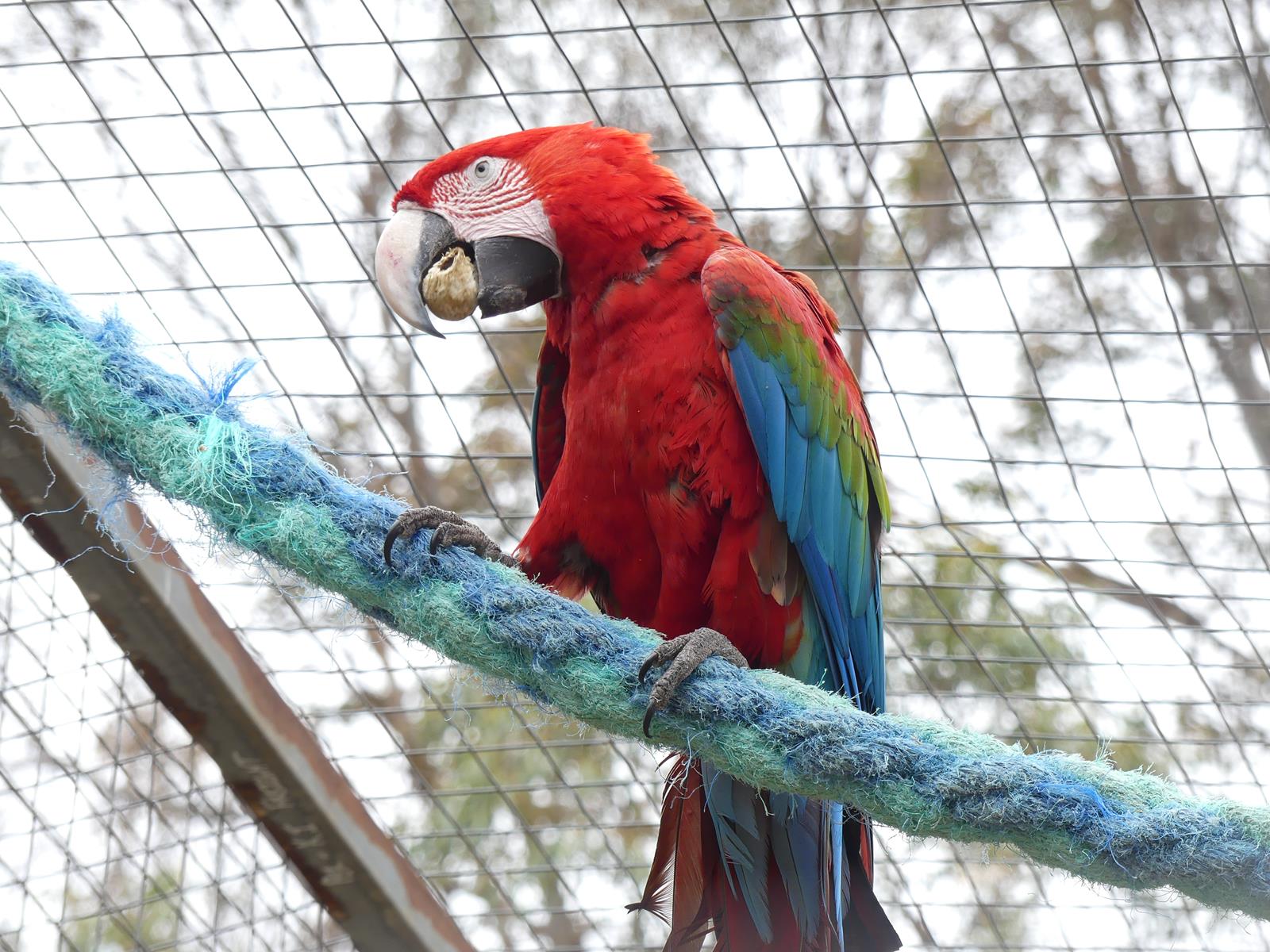 Kangaroo Island Wildlife Park