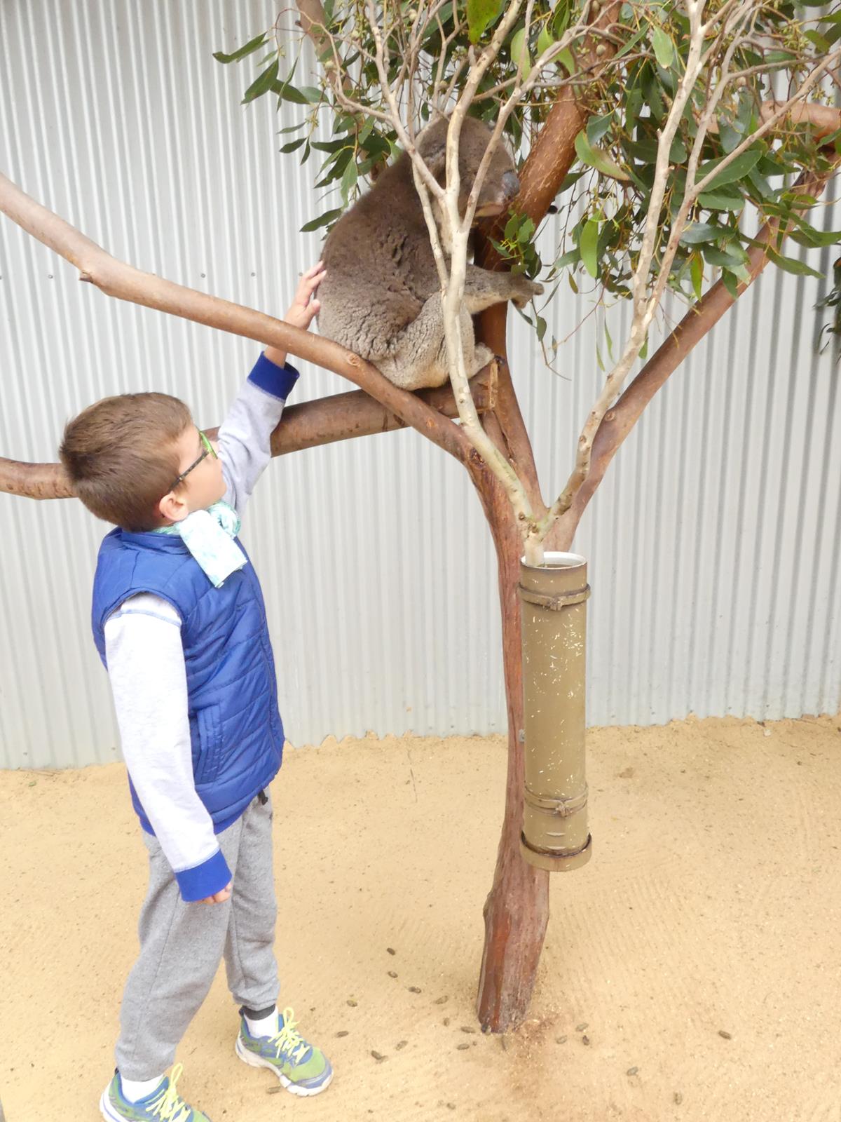 Kangaroo Island Wildlife Park