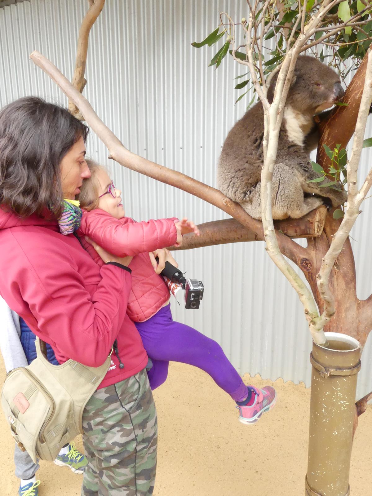 Kangaroo Island Wildlife Park