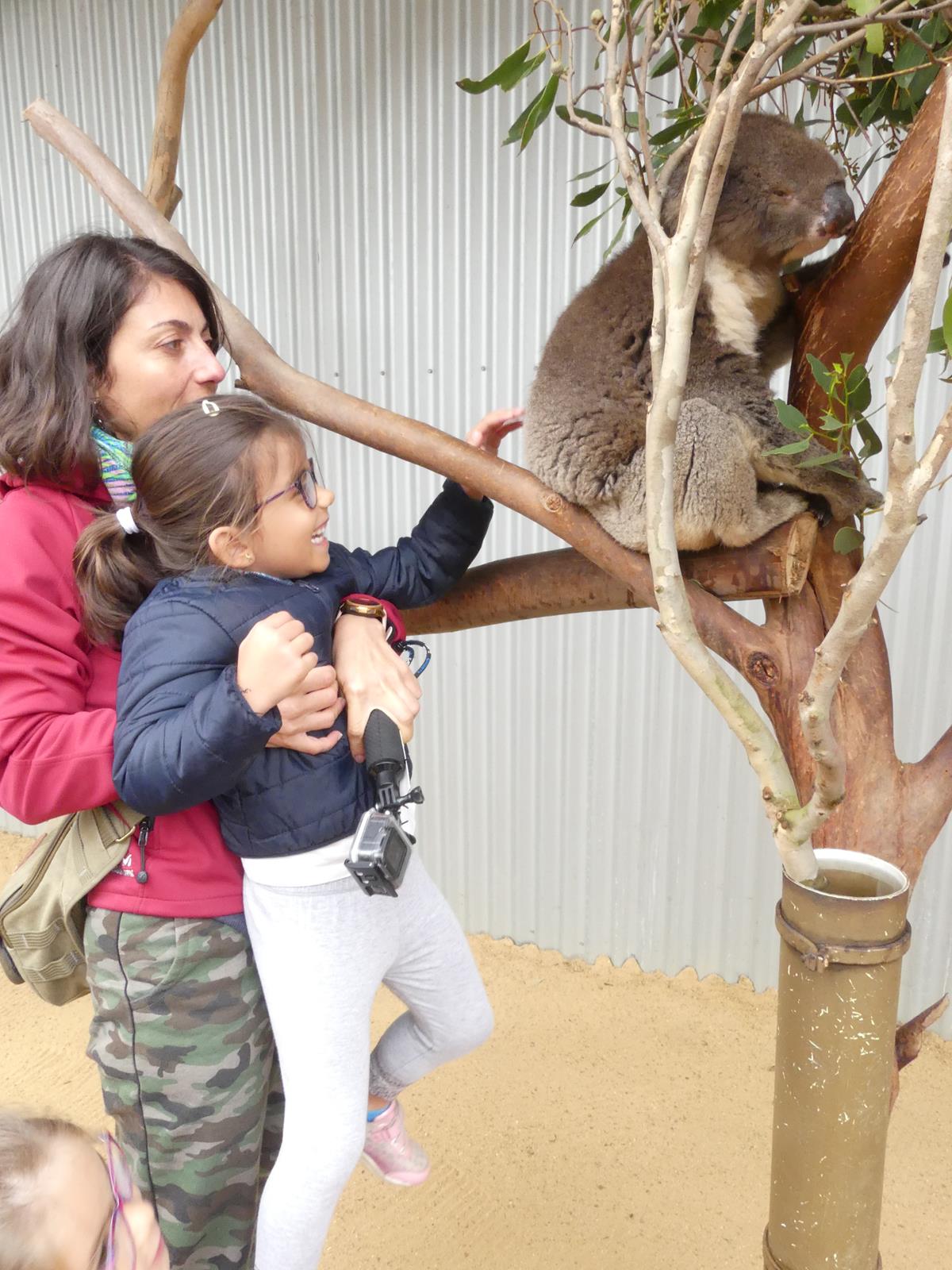 Kangaroo Island Wildlife Park