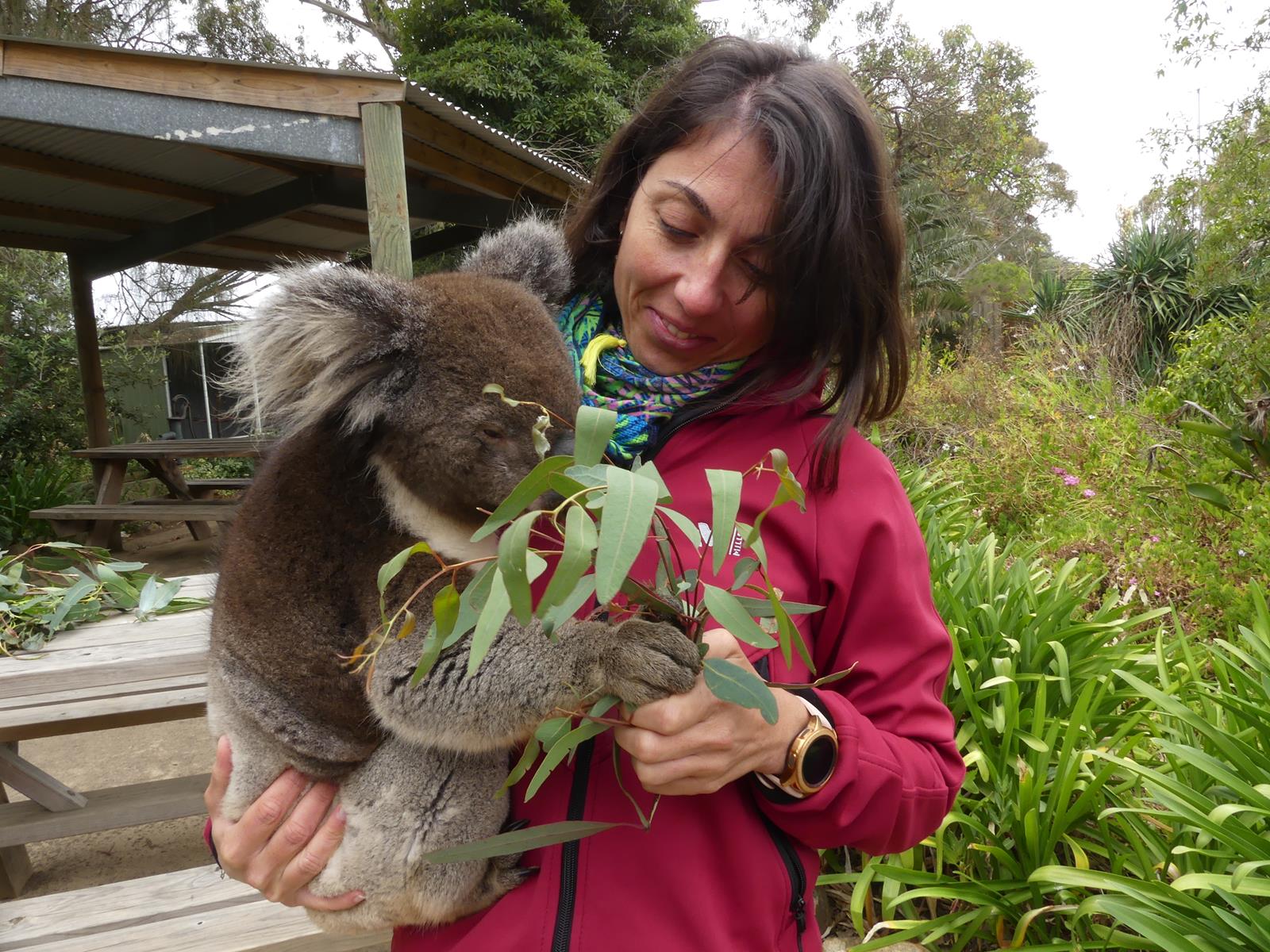 Kangaroo Island Wildlife Park