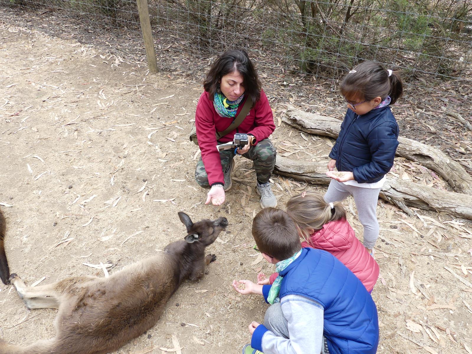 Kangaroo Island Wildlife Park
