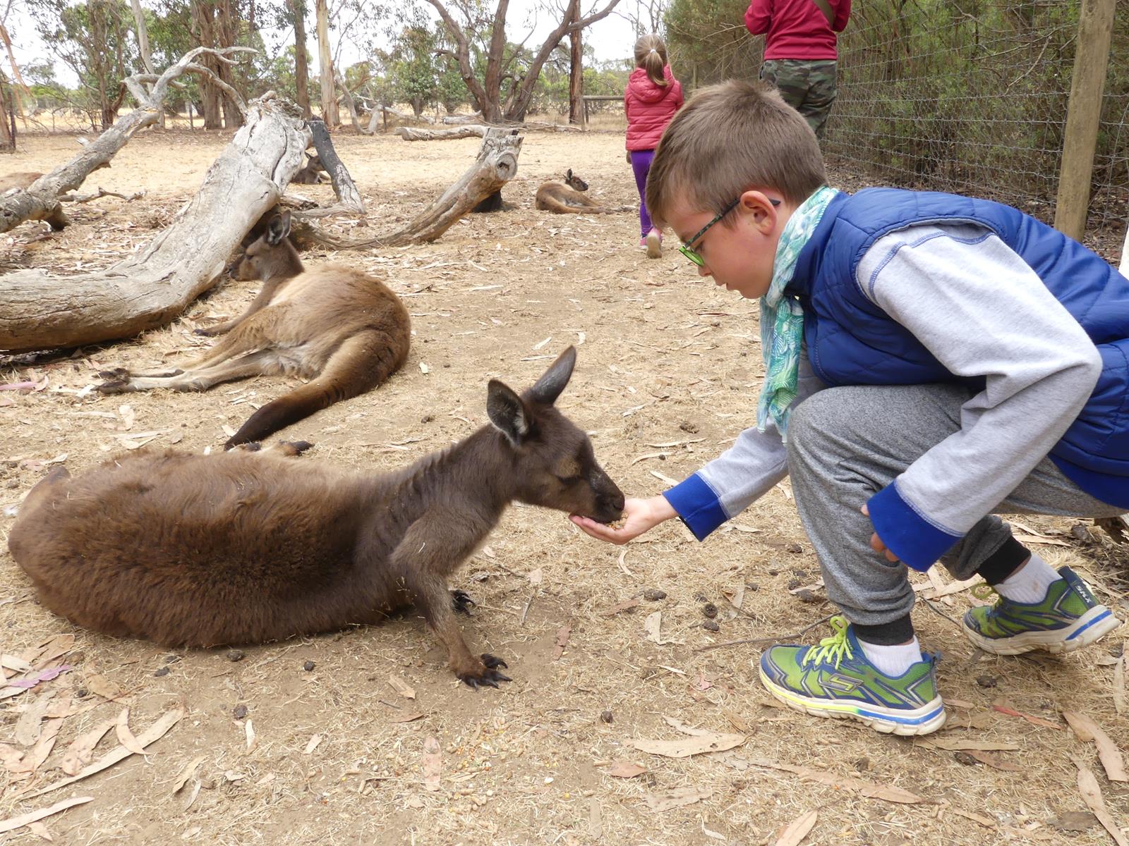 Kangaroo Island Wildlife Park
