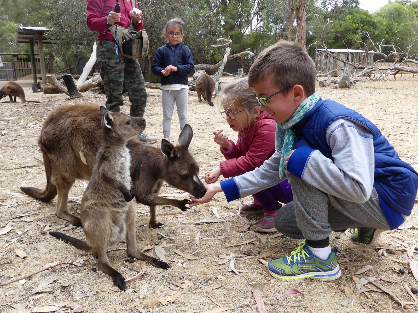 Kangaroo Island Wildlife Park